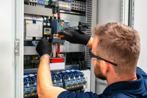 Best Electrician for Home Renovation  in Franklin Grove, IL