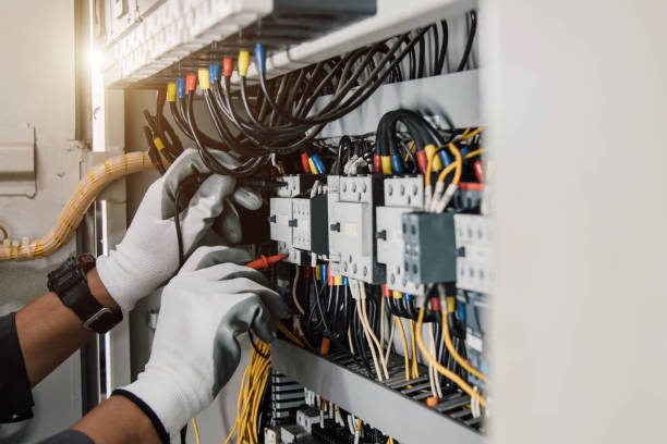 Best Electric Panel Repair  in Franklin Grove, IL
